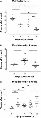 The Ly49E Receptor Inhibits the Immune Control of Acute Trypanosoma cruzi Infection